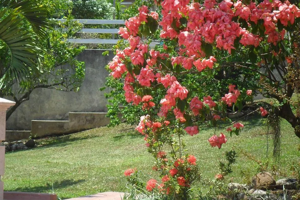 Idilio Escape Appartement Ocho Rios