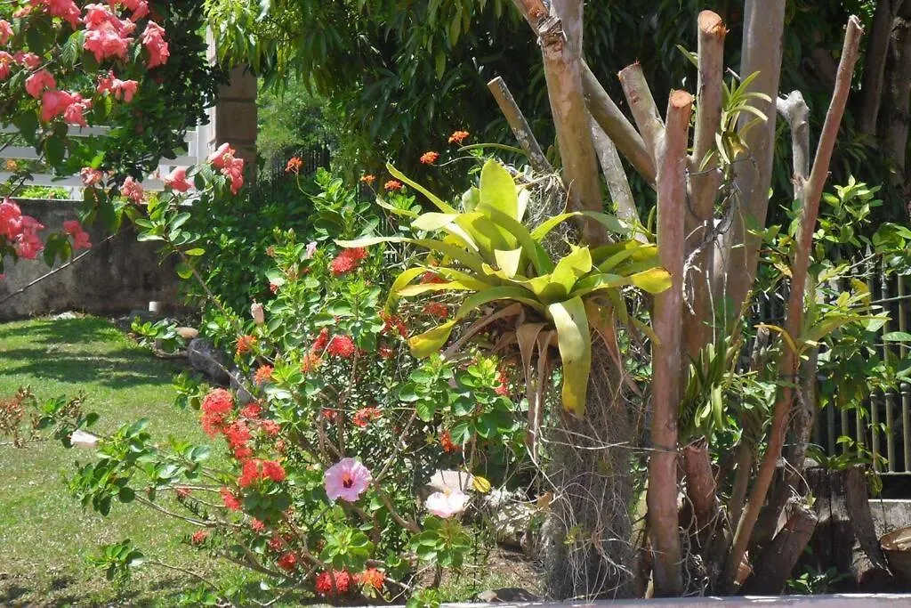 Idilio Escape Apartman Ocho Rios
