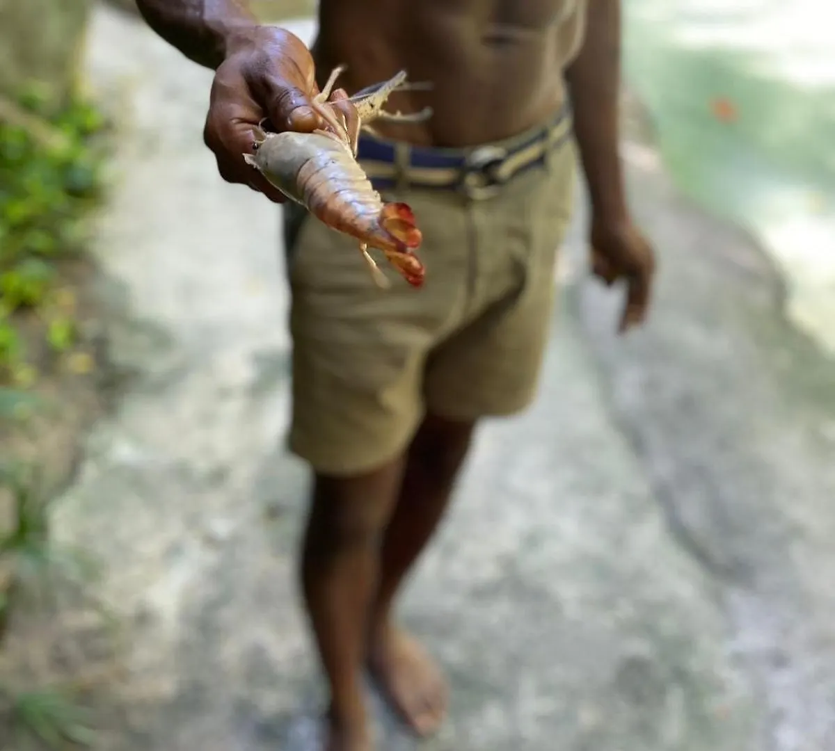 Homestay szállás Idilio Escape Apartman Ocho Rios